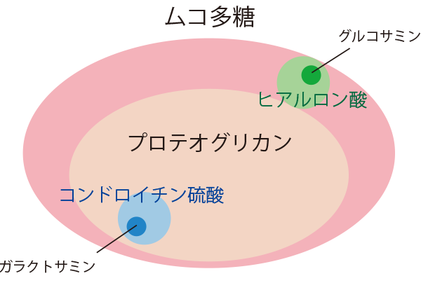 ムコ多糖