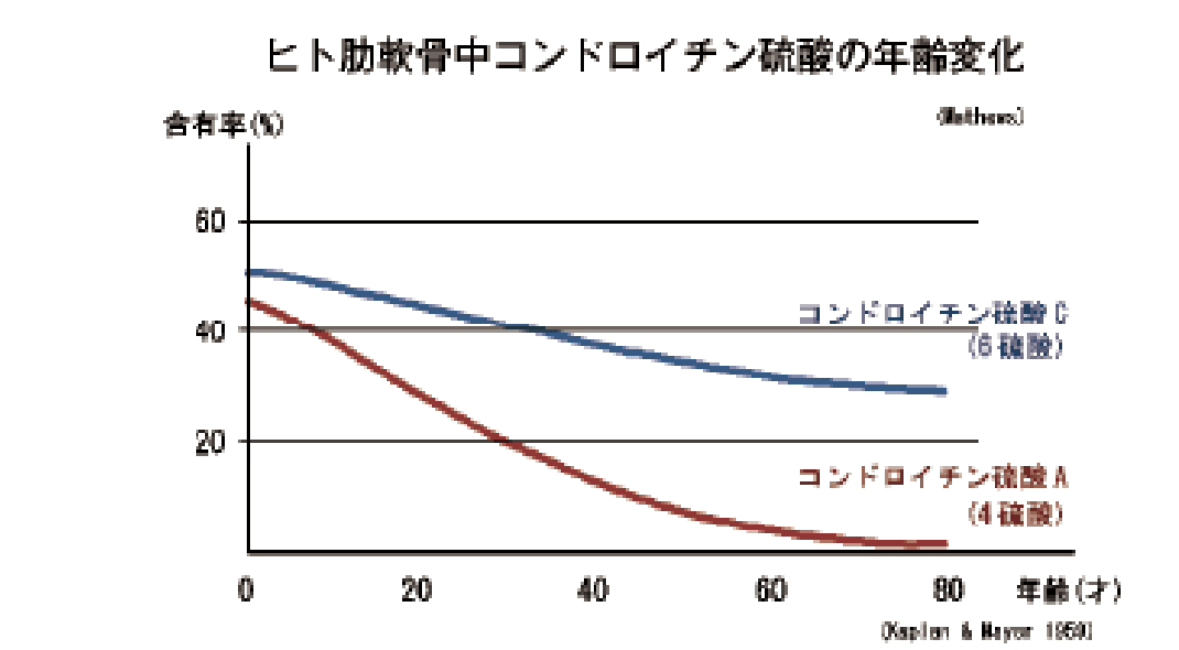 ヒト肋軟骨中コンドロイチン硫酸の年齢変化