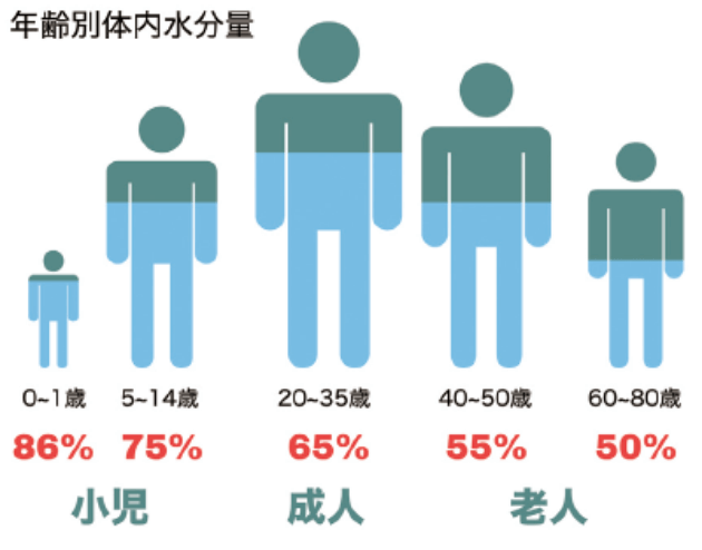 年齢別体内水分量