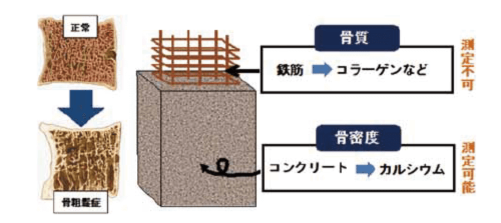 電解質・陽イオンの移動